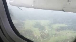 Deer Tried To Run On Runway But Was Hit By Plane