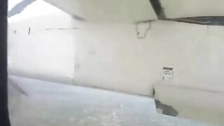 Deer Tried To Run On Runway But Was Hit By Plane