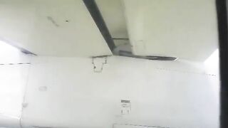 Deer Tried To Run On Runway But Was Hit By Plane