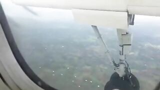 Deer Tried To Run On Runway But Was Hit By Plane