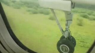 Deer Tried To Run On Runway But Was Hit By Plane