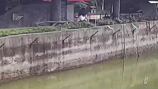 Desperate Zoo Staff Race To Rescue Dog That Fell Into Pit