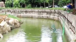 Desperate Zoo Staff Race To Rescue Dog That Fell Into Pit