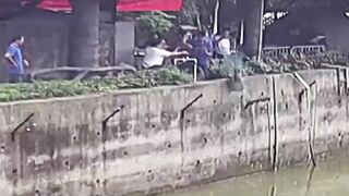 Desperate Zoo Staff Race To Rescue Dog That Fell Into Pit