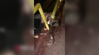 Dominican Influencer And His Wife Killed In Bicycle Accident