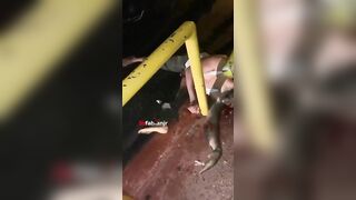 Dominican Influencer And His Wife Killed In Bicycle Accident