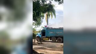 Dominican Truck Driver Electrocuted To Death