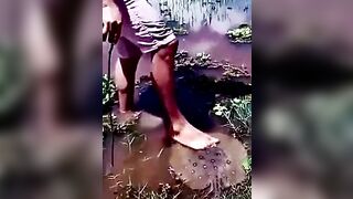 Don't Play With Animals