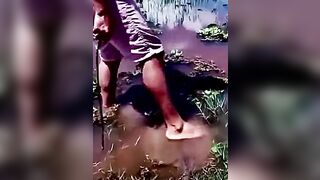 Don't Play With Animals