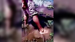 Don't Play With Animals