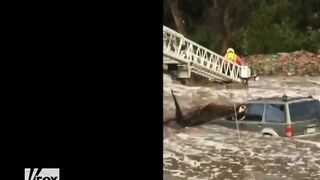 A Driver And His Dog Were Dramatically Rescued From Fast-flowing Water