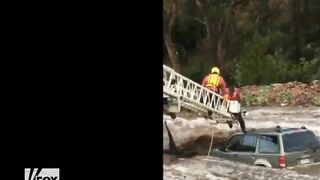 A Driver And His Dog Were Dramatically Rescued From Fast-flowing Water
