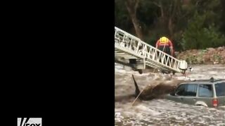 A Driver And His Dog Were Dramatically Rescued From Fast-flowing Water