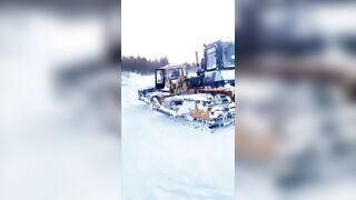 The Driver Sank His Machine Into The Frozen River Bottom