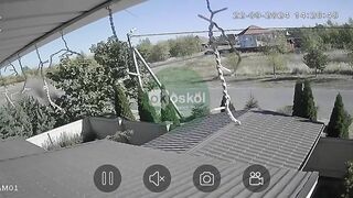 The Driver Had An Accident And Went Into Orbit