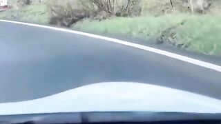 Driver Prevents Wolf Attack