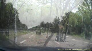 The Driver Turned Too Fast And Skidded Off The Road.