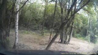 The Driver Turned Too Fast And Skidded Off The Road.