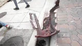 Drunk Truck Driver Hits Pedestrian