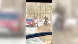 Man Chased By Elephant