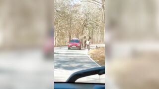 Man Chased By Elephant