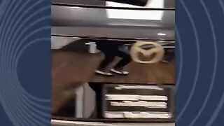 Guy Drives His Car Through The Dealership