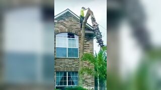 This Guy Is Having A Bad Day.