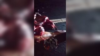 Man's Body Torn Apart On Highway