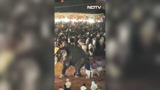 Elephants Go On Rampage During Indian Festival