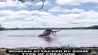 Have You Ever Seen Someone Being Attacked By A Capybara?