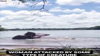 Have You Ever Seen Someone Being Attacked By A Capybara?