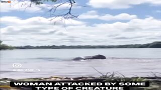 Have You Ever Seen Someone Being Attacked By A Capybara?