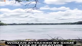 Have You Ever Seen Someone Being Attacked By A Capybara?