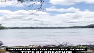 Have You Ever Seen Someone Being Attacked By A Capybara?