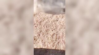 Have You Ever Seen A Bull Do A Forward Somersault?