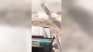 Have You Ever Seen A Bull Do A Forward Somersault?