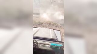 Have You Ever Seen A Bull Do A Forward Somersault?