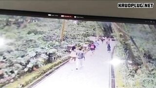 Fallen Tree Kills Two Tourists