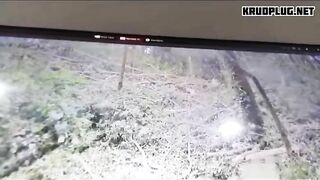 Fallen Tree Kills Two Tourists