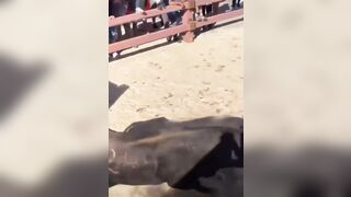 The Fat Man Fell Into The Bullring And Still Regrets It