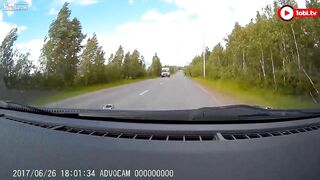 Fatal Dashcam Video Shows Pedestrian Emerging From Bushes