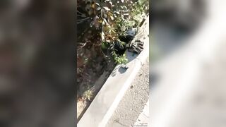 Cyclist Killed By Stupid Driver