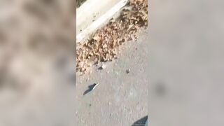 Cyclist Killed By Stupid Driver