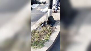 Policewoman In Critical Condition After Bicycle Accident