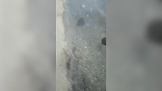 Bicyclist Hit By Truck