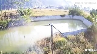 The Fisherman Threw Away His Fishing Rod