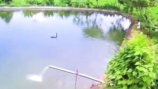 Fisher Was Electrocuted