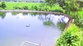 Fisher Was Electrocuted