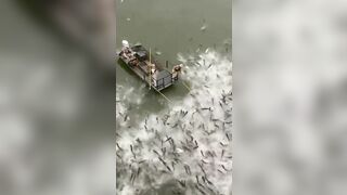 Fishing Correctly