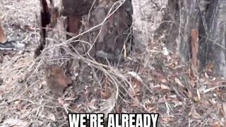 Florida Man Bitten By Diamondback Rattlesnake